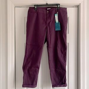 Market & Spruce Rosabel Skinny Cuffed Pant - Size 16W